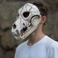 4C2A8065.jpg Wolf skull mask moving jaw,3d model STL file, animal skull mask, skull mask, cosplay mask, scary mask, halloween mask