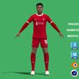 Gakpo_1.jpg 3D Rigged Cody Gakpo Liverpool 2024