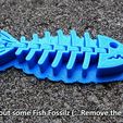 caf6eb7ed7f930e0f05b3fef48db9b53_display_large.jpg STL-Datei Fish Fossilz kostenlos・Objekt zum Herunterladen und Drucken in 3D