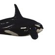 39.jpg ORCA Killer Whale Dolphin FISH sea CREATURE 3D ANIMATED RIGGED MODEL