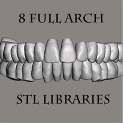 ApplicationFrameHost_TI9eBd0my7.png 3D-Datei Natural Tooth Library Sammlung (8 Modelle)・3D-druckbares Design zum Herunterladen