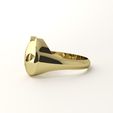 cat-ring-7.jpg Cat ring