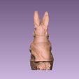8.jpg Peter Rabbit