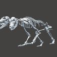 Unbenannt21.JPG Unknown Creatures - Cerberus Skeleton