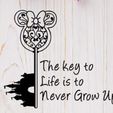 364539947_1009507753416131_7061676138114007354_n.jpg Disney Key / Key to life Sign ? Never grow up / Magical key / wall decor