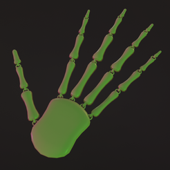 1.png ARTICULATED SKELETON HAND