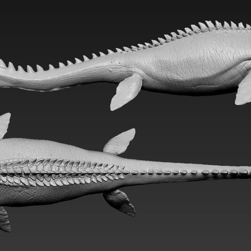 T1.jpg OBJ file Mosasaurus・Model to download and 3D print, F-solo