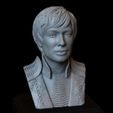Cersei07.RGB_color.jpg Cersei Lannister from Game of Thrones, Portrait, Bust 200mm tall
