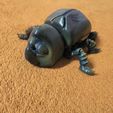 FLEXI BEETLE
