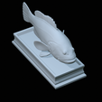 Dusky-grouper-45.png fish dusky grouper / Epinephelus marginatus statue detailed texture for 3d printing