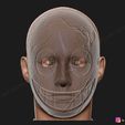 17.jpg The Legion Frank Mask - Dead by Daylight - The Horror Mask 3D print model