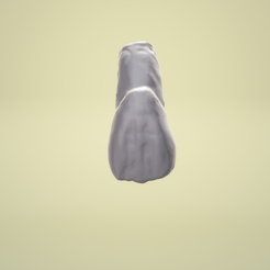 lateral.png Download STL file Tooth lateral • 3D printable design, lablexter