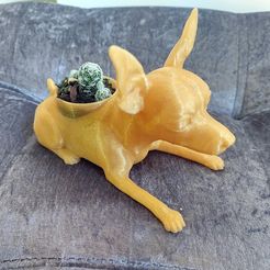 1.jpg STL file Mini Pinscher・3D printer design to download