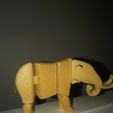 flex elephant.jpg Flexi/flexy elephant