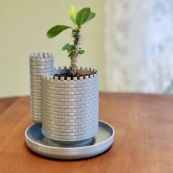 11022.jpg Free STL file Planttlement - Castle Planter with Moat, for Succulents・Object to download and to 3D print