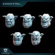 ork-pig-1-digi_small.jpg Orc Pig Heads