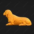 931-Basset_Fauve_de_Bretagne_Pose_09.jpg Basset Fauve de Bretagne Dog 3D Print Model Pose 09