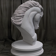 HORSE-BUST.8.png #01  'HORSE' THE SYMBOL OF COURAGE & FREEDOM (DECOR.)