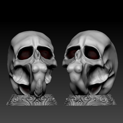 5.png Fichier STL crâne génital・Design pour imprimante 3D à télécharger