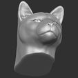 14.jpg Cougar / Mountain Lion head for 3D printing