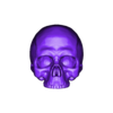 Skull.obj Skull Anatomy  3D print model