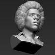 21.jpg Jimi Hendrix bust 3D printing ready stl obj