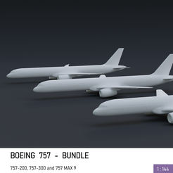 preview.png Archivo 3D Boeing 757 - Paquete・Objeto para impresora 3D para descargar, FreddyPhantom
