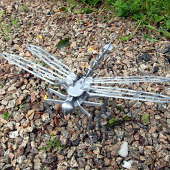 07.png STL-Datei Dragonfly 3D Puzzle kostenlos・3D-Druckvorlage zum Herunterladen