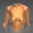 05.png STL file Bust 01・3D printer model to download