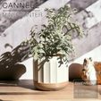 CANNELE_free-standing-planter_white-sunny.jpg CANNELÉ | Fast-print mini Planter