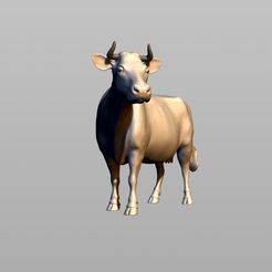 001.jpg cow