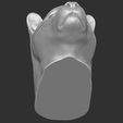 15.jpg Leopard head for 3D printing