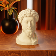 fith.png Bust of Marcus Aurelius