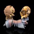 1000007790.jpg Armadillo - Articulated Cute