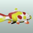 3.jpg Koi Fisch 3D Modell