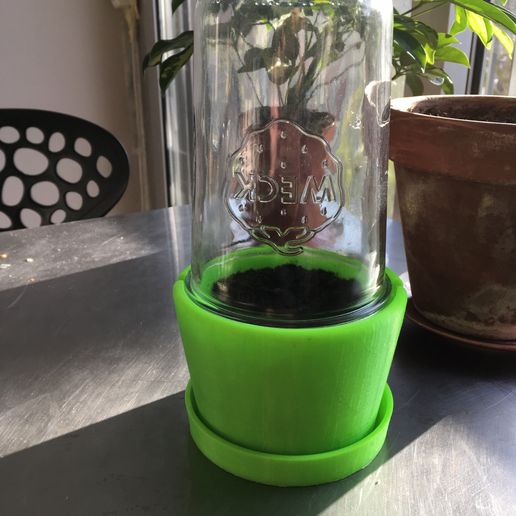 IMG_2409.jpg Mini greenhouse pot
