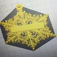 20221204_113606.jpg STL file personalize Snow flake Ornament・Template to download and 3D print