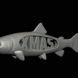 pstruh-solo-model-1-8.png xmas / christmas fish trout sculpture