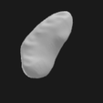 1.png Scaphoid Bone Right Hand