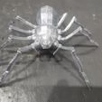 IMG_20220316_214934.jpg Araignée géante articulée