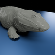 0007.png Ichthyostega: Der erste Wanderer - Wissenschaftlich korrekter Tetrapode aus dem Devon