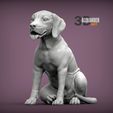 Fila-Brasileiro-puppy-1.jpg Fila Brasileiro puppy 3D print model
