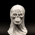 EJB16264-1.jpg Draped Skull Bust (Pre Supported)