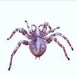 DSD.jpg SPIDER COLLECTION - DOWNLOAD SPIDER 3D MODEL ANIMATED - BLENDER - 3DS MAX - CINEMA 4D - FBX - MAYA - UNITY - UNREAL - 3D PRINTING - OBJ - FBX - 3D PROJECT SPIDER CREATE AND GAME READY SPIDER WOMAN RAPTOR
