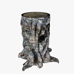 tree-stump01.jpg Tocón de árbol