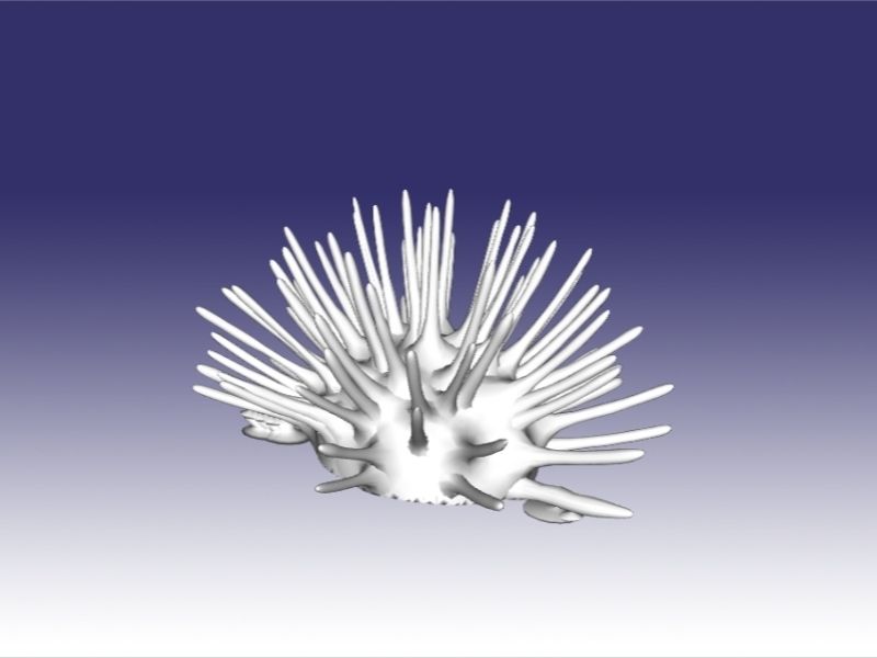 kestane kalın0008.jpg Download OBJ file Sea Urchin • 3D printable object, Dsignrcmc