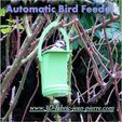 Automatic_feeder_title_carr_Lt.JPG Automatic Bird Feeder