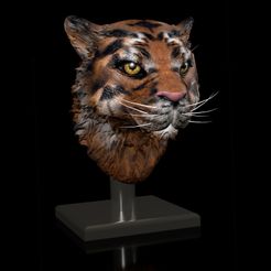 Shop1A.jpg 3D file Tiger portrait- STL 3D printing -file- with stand , base and wall mounts・3D printing design to download