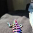 Articulated Lizard v2