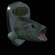 Fr-8.png fish head bass trophy statue detailed texture for 3d printing